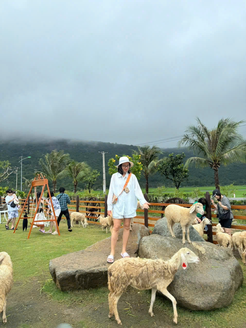 Tour Ninh Thuận